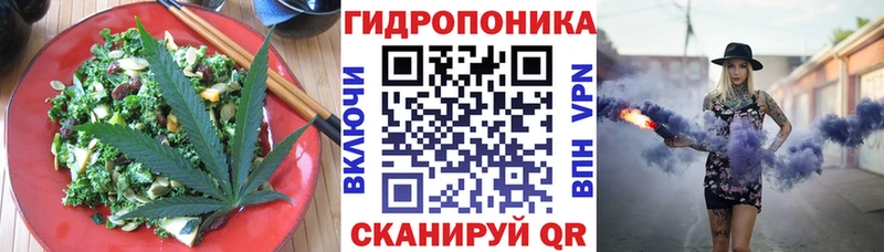 Cannafood конопля  Купить  Лосино-Петровский 