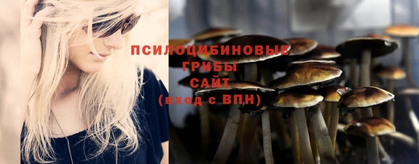 молекула духа Верхний Тагил