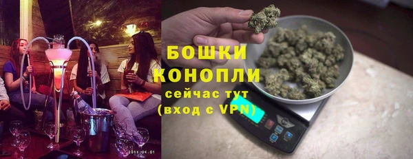 молекула духа Верхний Тагил